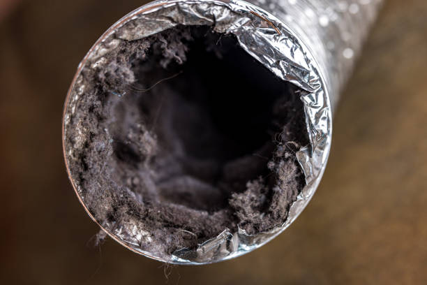 Best Affordable Duct Cleaning Services  in Mary Esther, FL