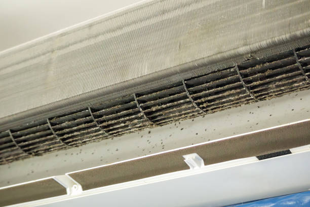 Best Air Quality Test  in Mary Esther, FL